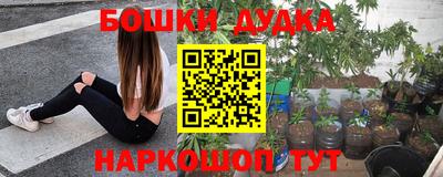 гидропоника Анапа