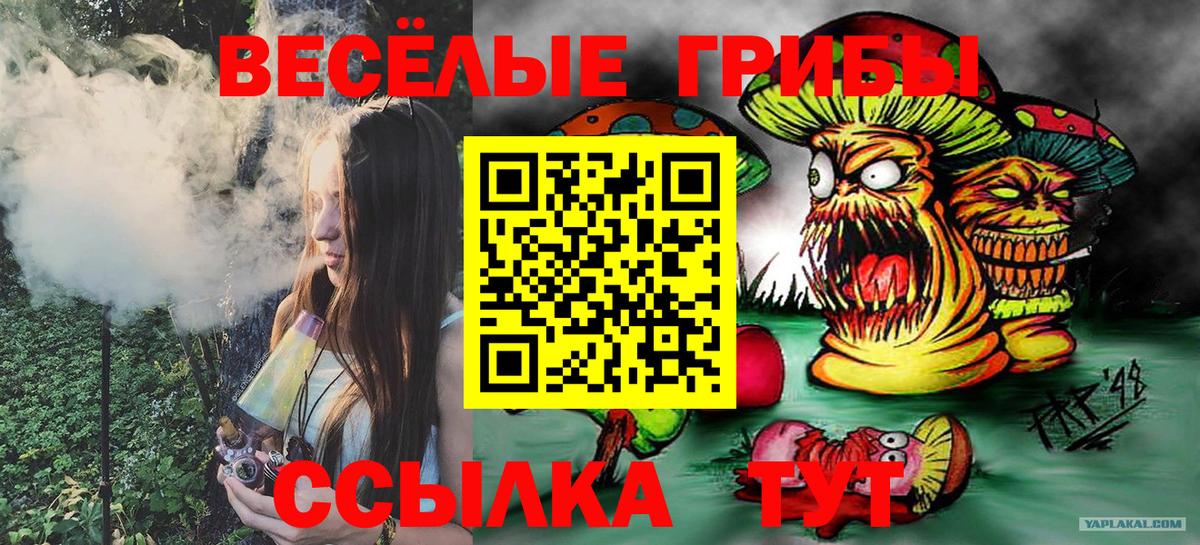 Псилоцибиновые грибы мухоморы  даркнет сайт  Галлюциногенные грибы GOLDEN TEACHER  Тимашёвск  Вход с VPN 